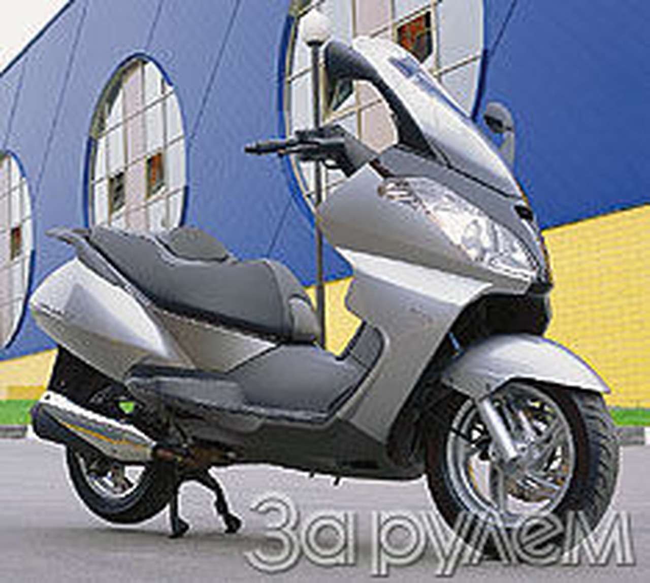 Плод зрелый