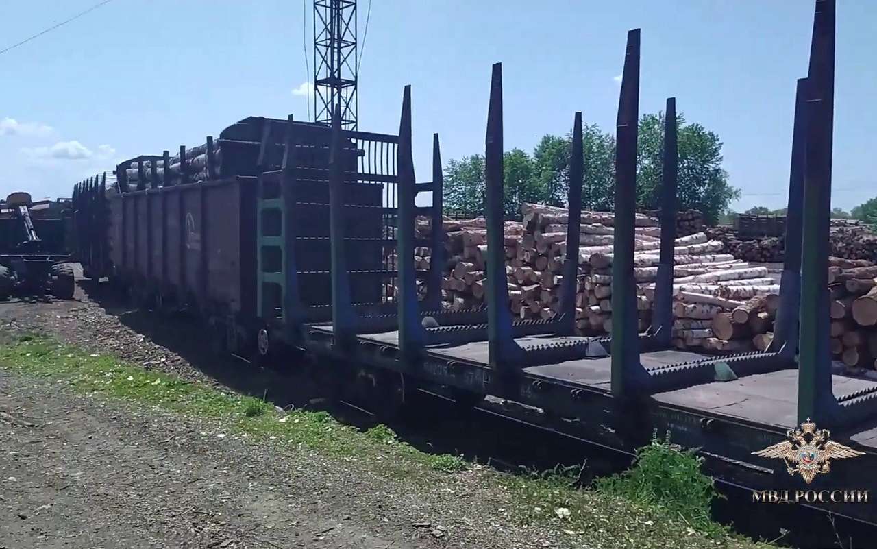 Дело о контрабанде дальневосточного леса на 600 млн рублей передано в суд
