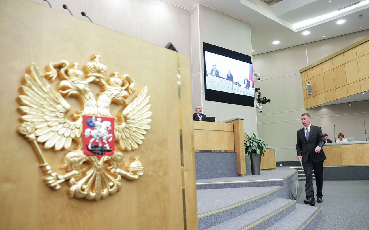 Кого и на что пересаживать: сначала надо разобраться с терминами