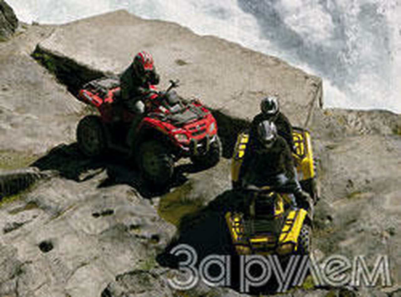 Самый утилитарный спорт