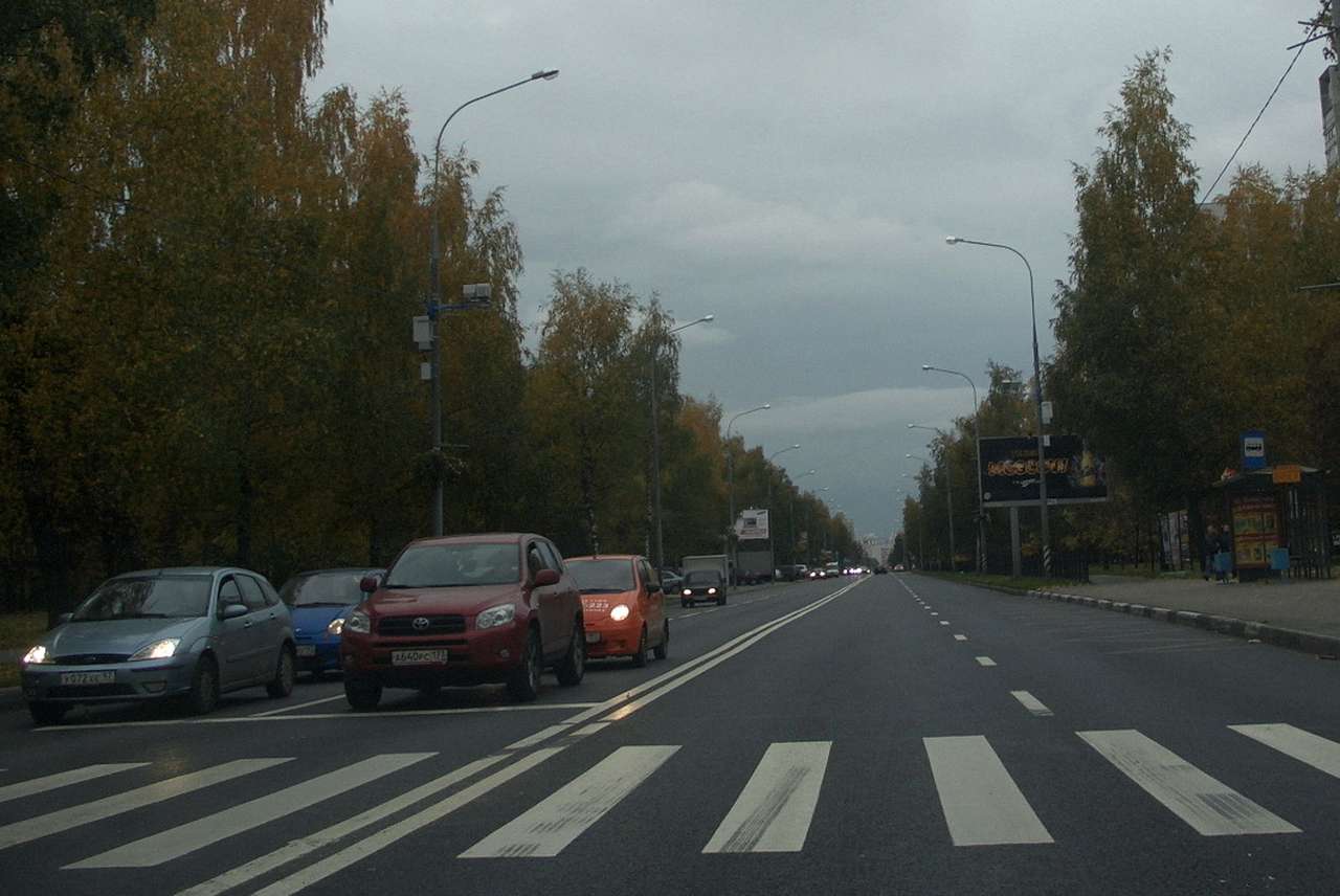 В Подмосковье погибших на пешеходных переходах стало больше на 72%