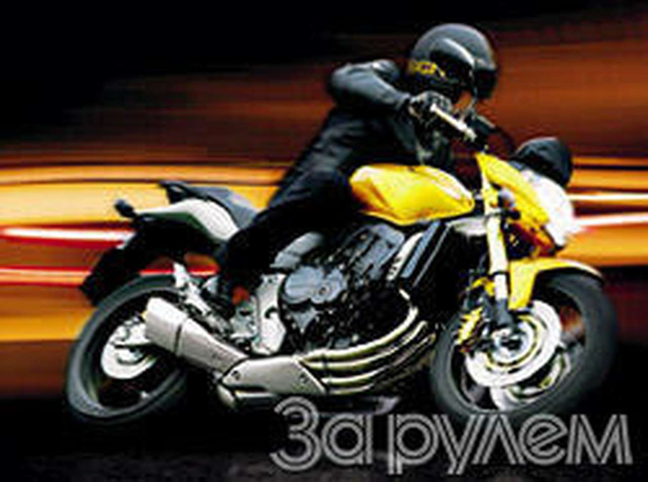 Вдогонку за веком