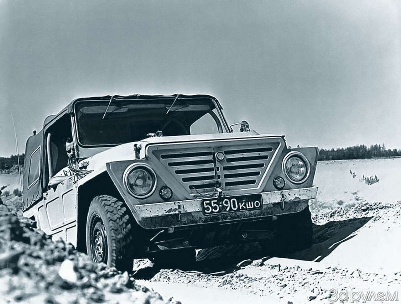 Родоначальница