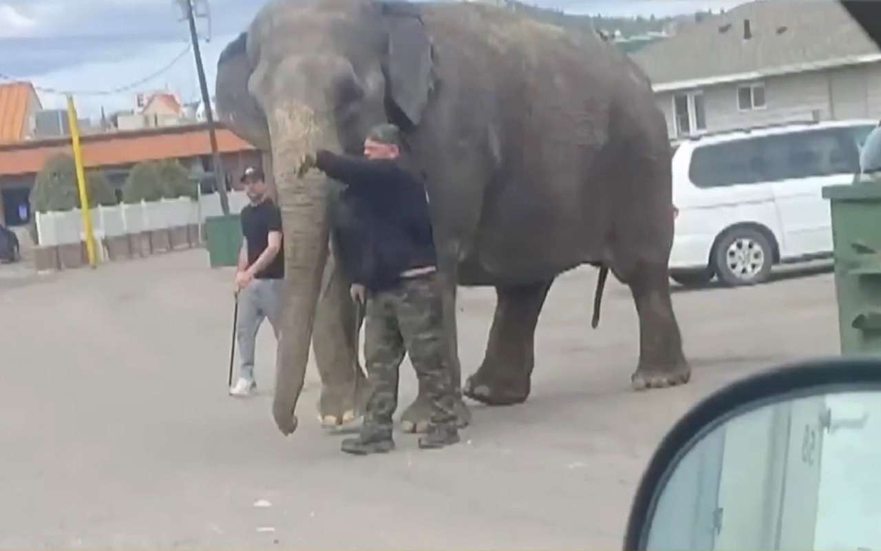 Такого водители этого городка еще никогда не видели
