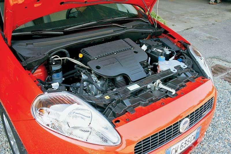 Подкапотное пространство fiat punto