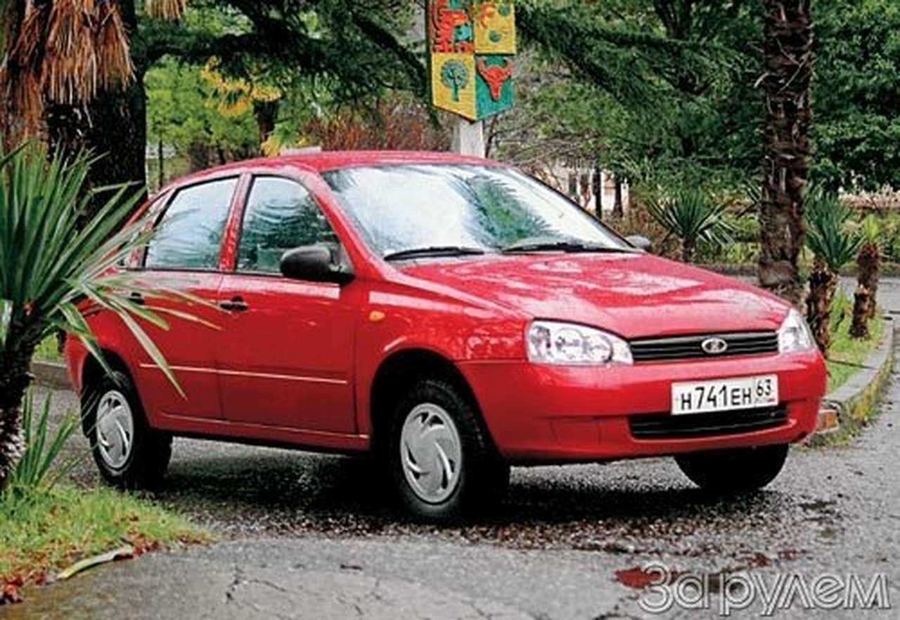 Первые плоды