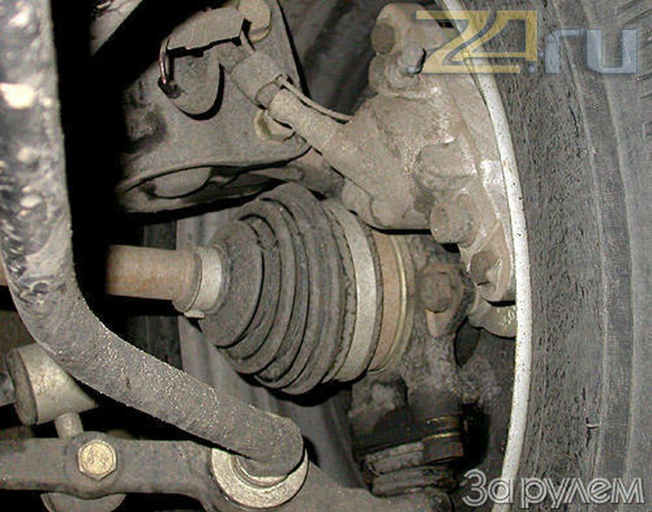 Масла в меру!