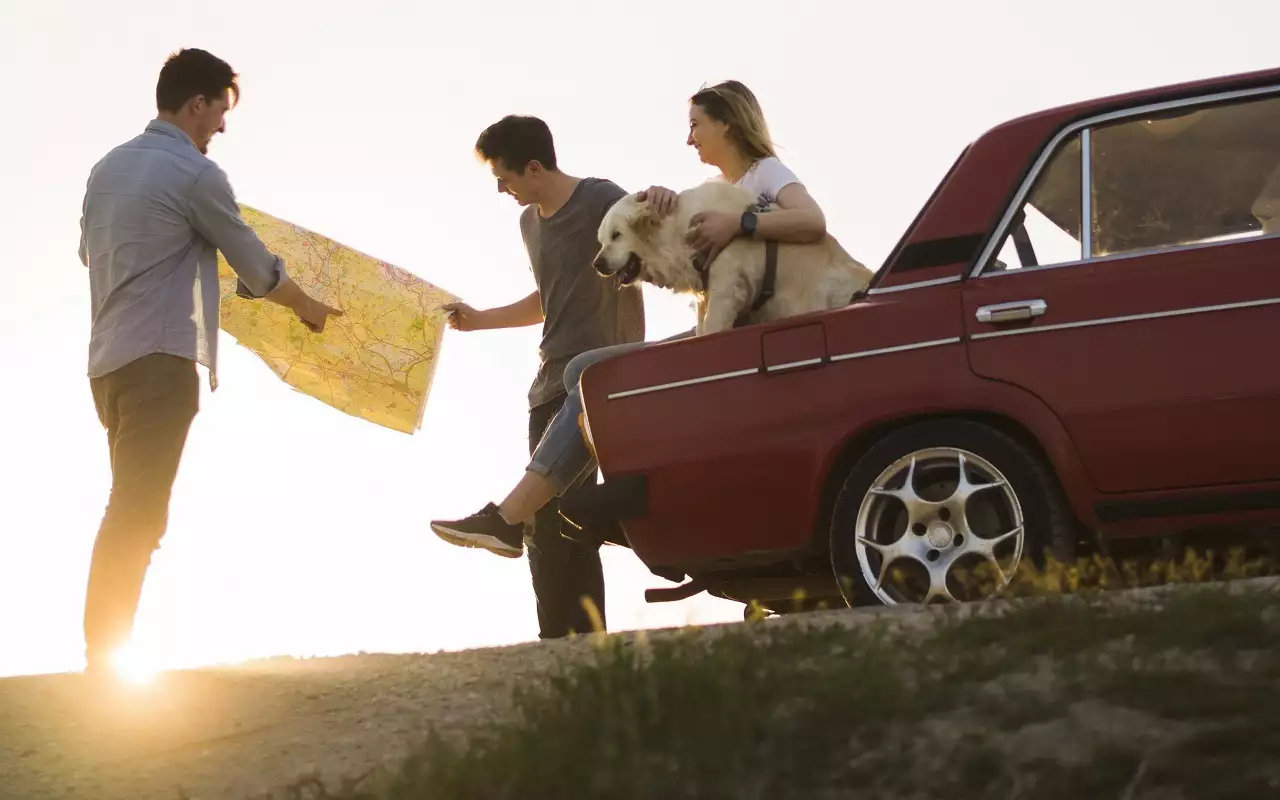 Свобода руля: россияне все чаще путешествуют на машине