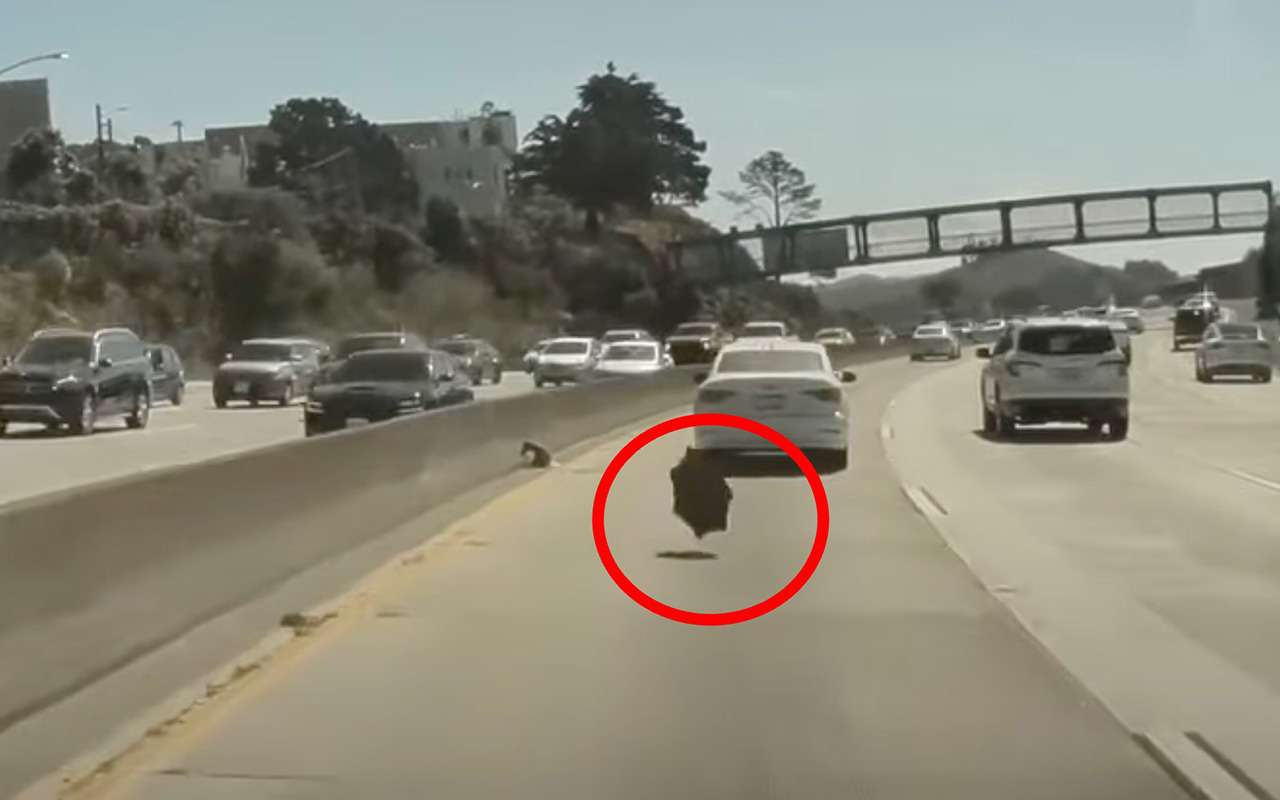 Скриншот видео YouTube