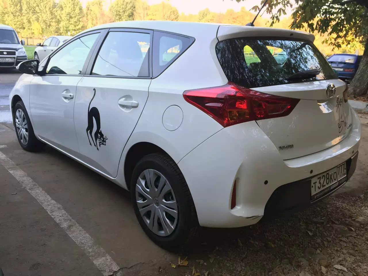 Опрос ЗР: наклейки на авто — за или против?