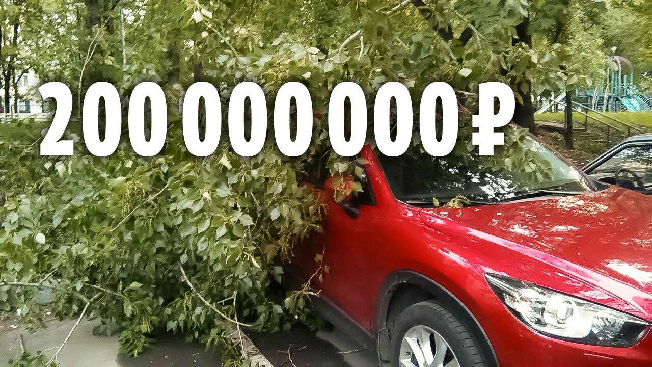 Подсчитан ущерб, нанесенный разбушевавшейся стихией