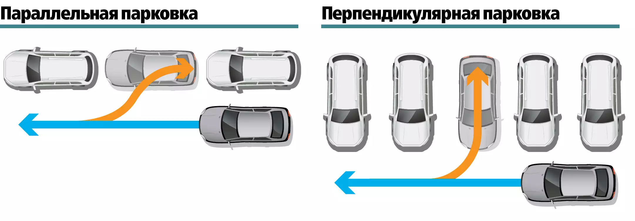 Парковка как правильно. Парковка параллельная и перпендикулярная схема. Перпендикулярная парковка задним ходом схема. Перпендикулярная парковка задним ходом для начинающих пошагово. Парковка автомобиля задним ходом между автомобилями схема.