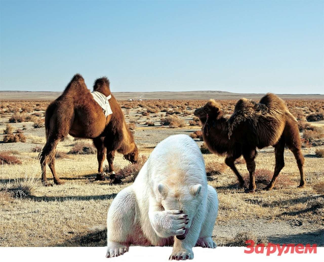 Выбираем масло 0W-40