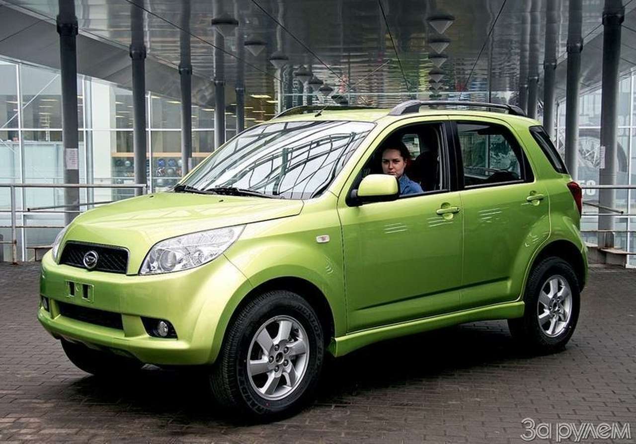 Породистый щенок