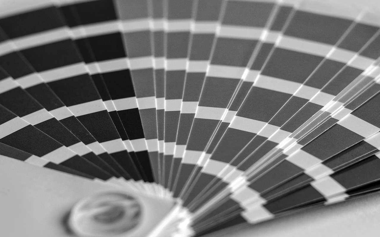 256 оттенков серого: как подбирают краску для кузова