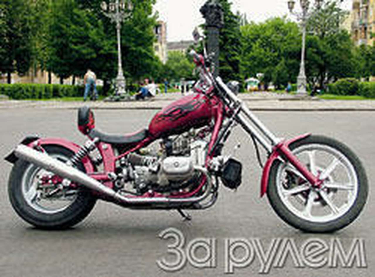 Не видать тебе грибков, дедуля!