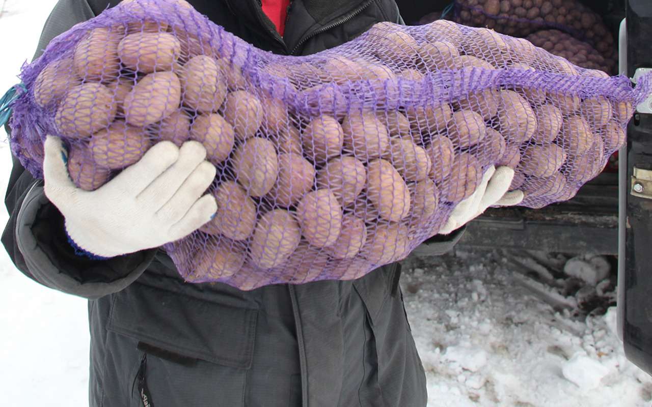 Упс! Воришку поймали по отпечатку номера на снегу