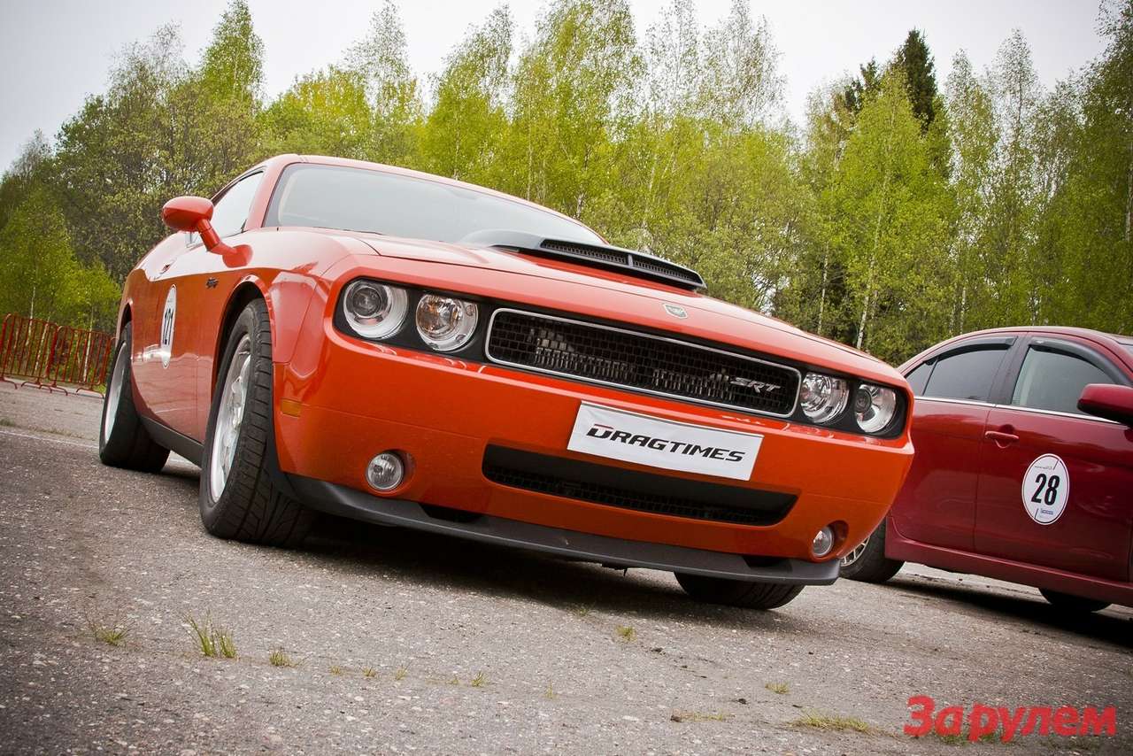 60 тысяч лошадей на Дмитровском полигоне