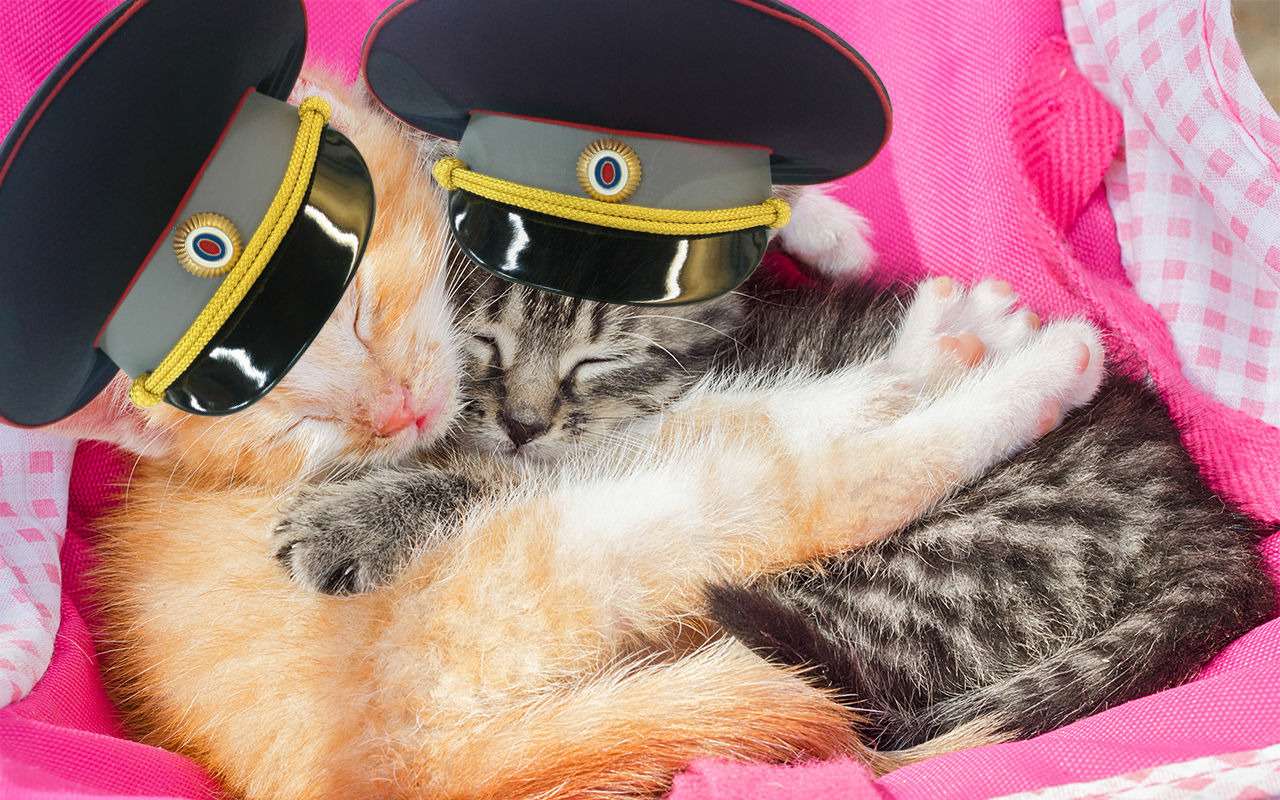 Гаишников засняли спящими во время дежурства. И жестко разбудили!