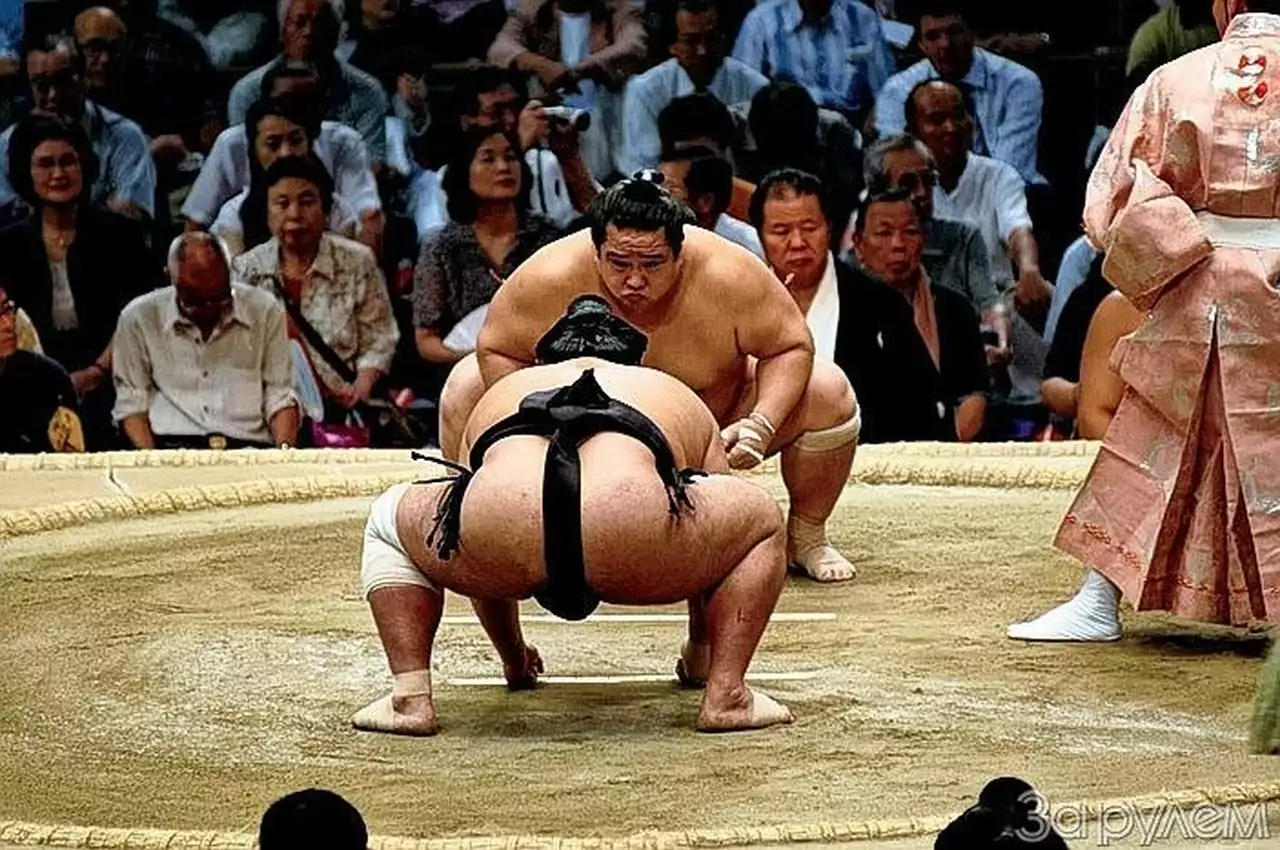 Шесть километров бесплатно