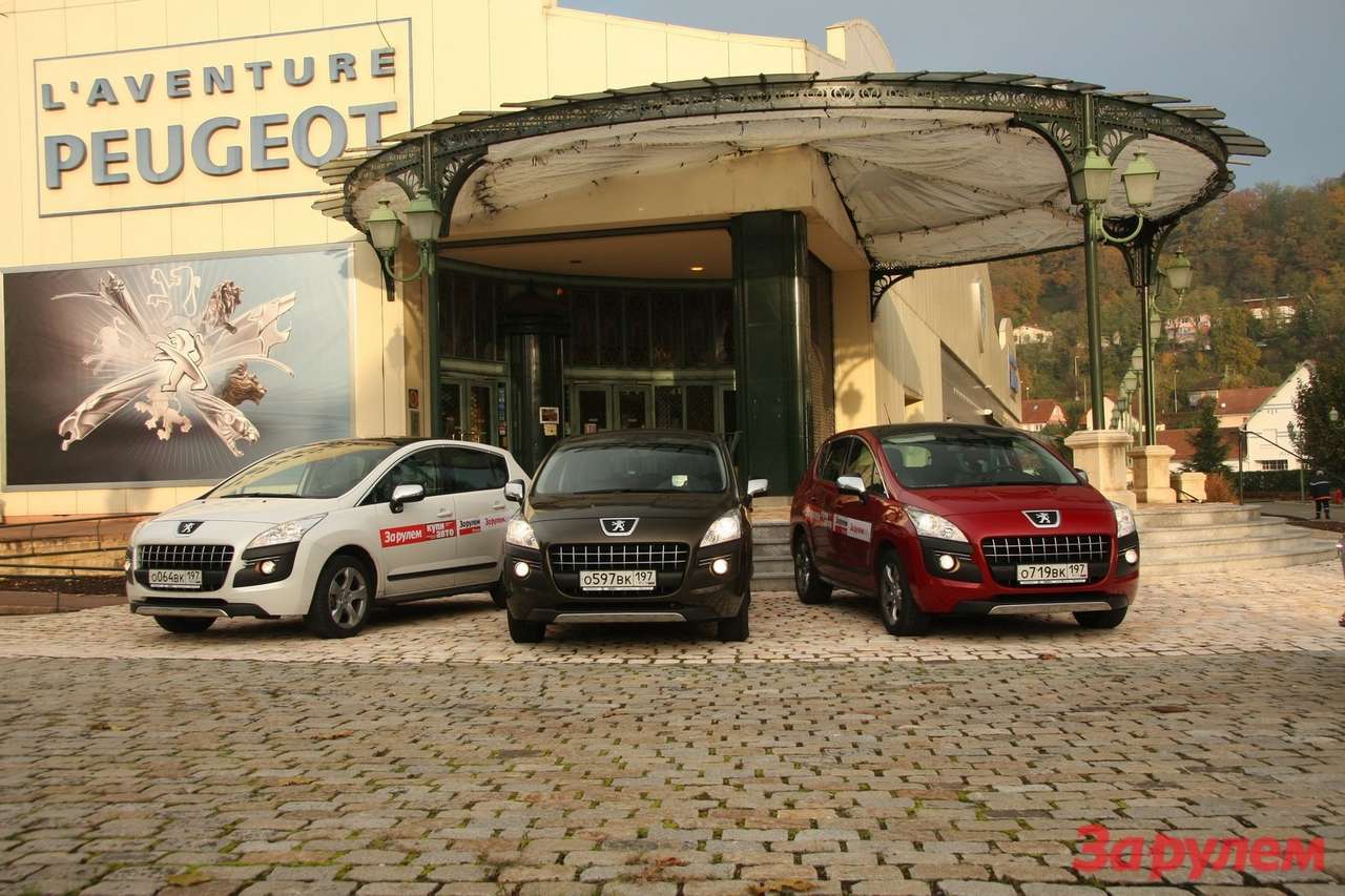 Они уже на родине!