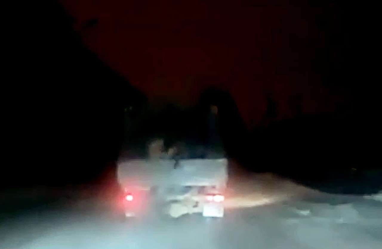 Корова на ходу выпрыгнула из «ГАЗели» (ВИДЕО)