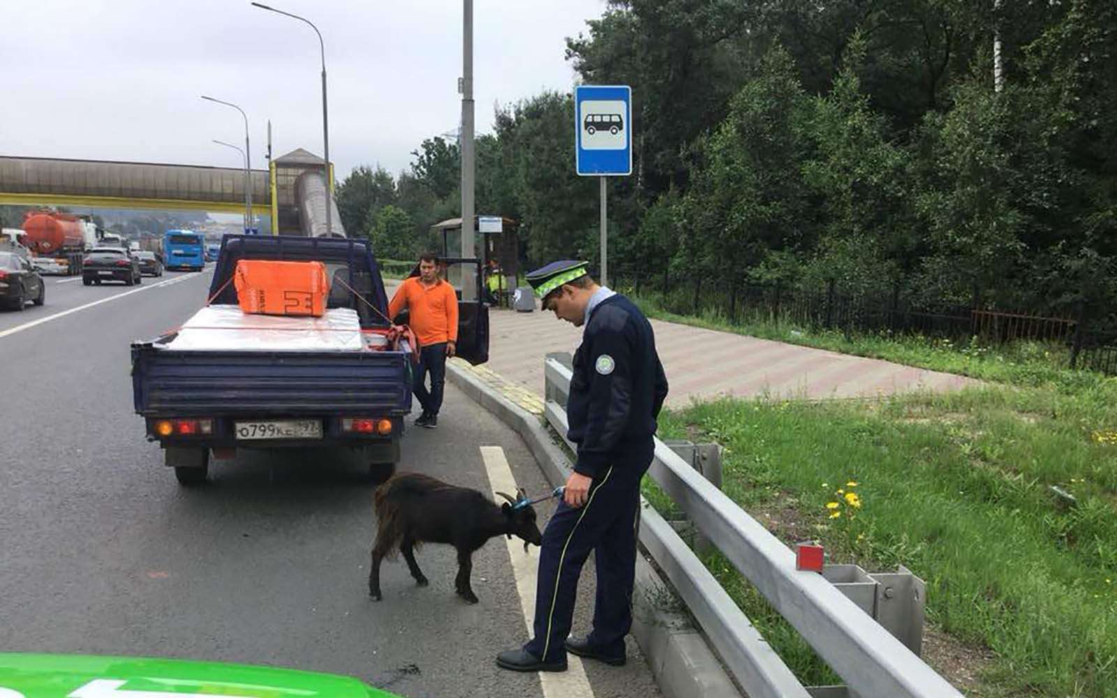 Зачем цодд приезжает на дтп