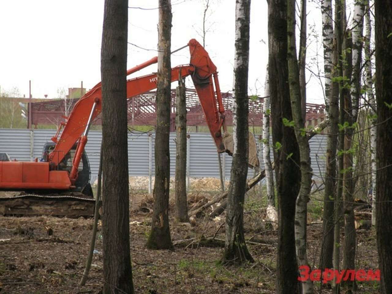 Росавтодор предлагает "компенсировать" вырубку части Химкинского леса