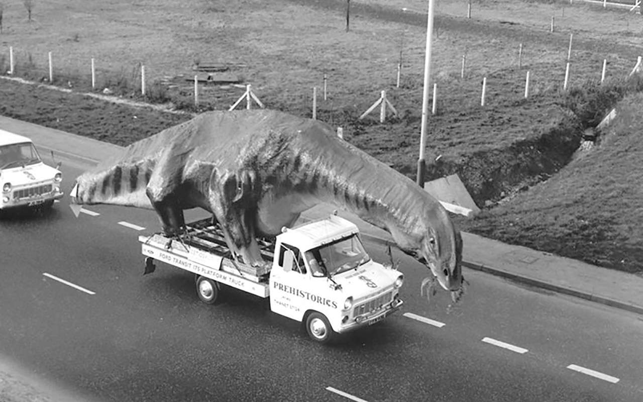 Картина, корзина, картонка: в Ford выяснили, что перевозят в автомобилях россияне