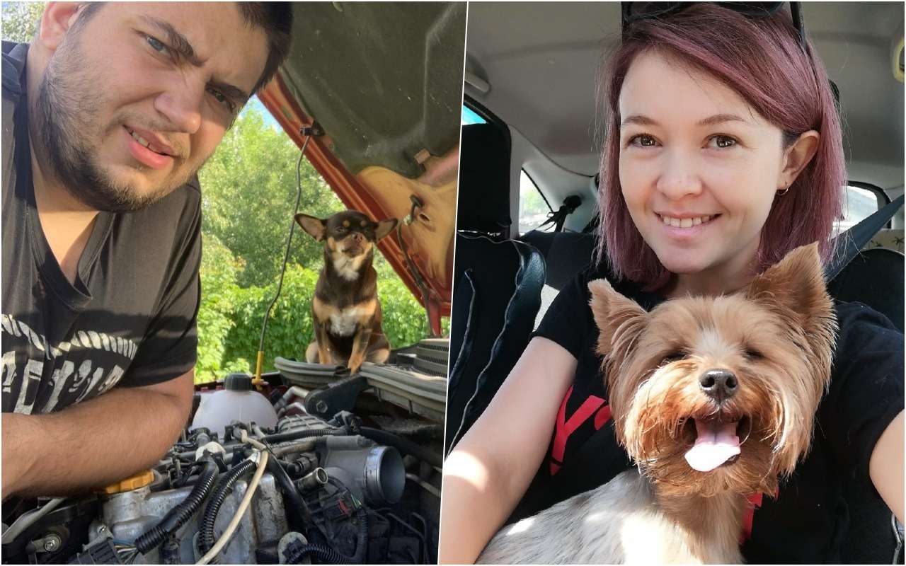 АВТОВАЗ объявил фотоконкурс для автомобилистов с питомцами