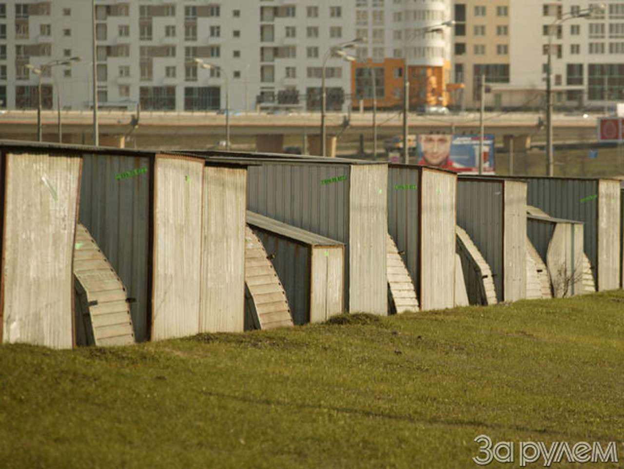 «Ракушку» - в Красную книгу
