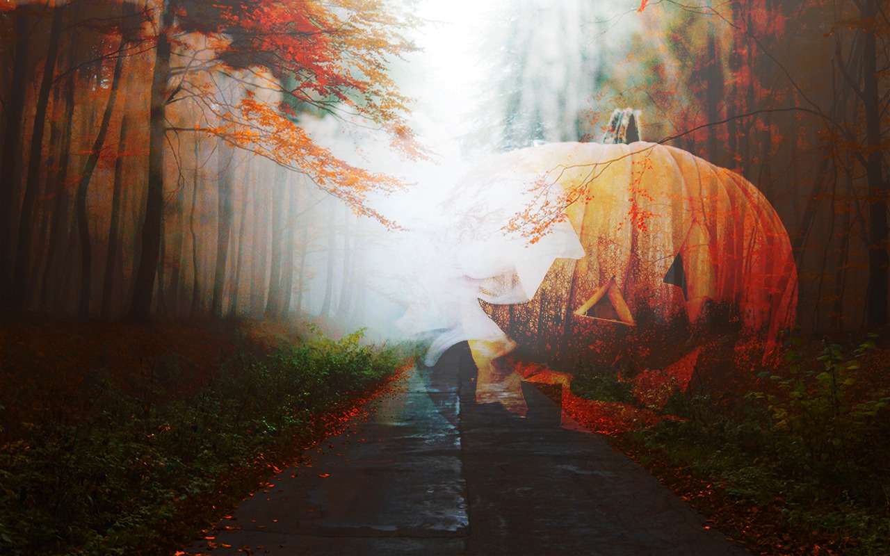 Дорога к Хэллоуину: водители назвали самые мистические места