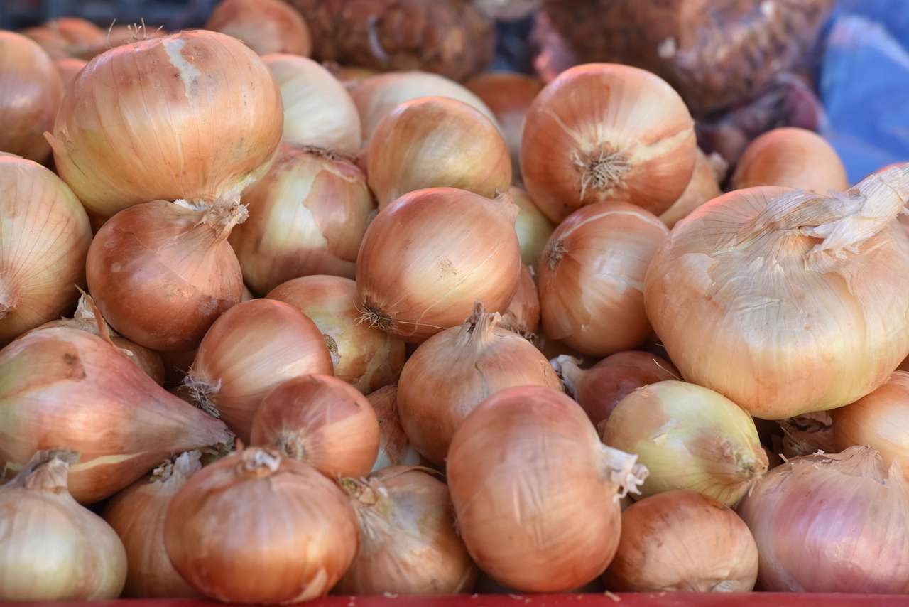 16 узбеков пытались нелегально въехать в РФ, прикрывшись луком