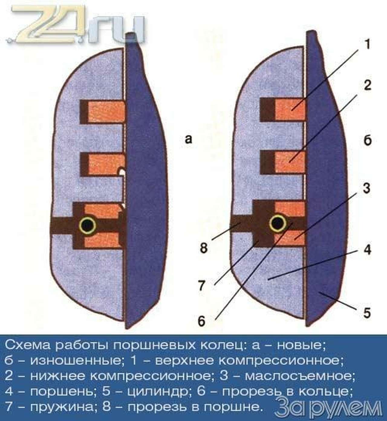 Поговорим о голубом
