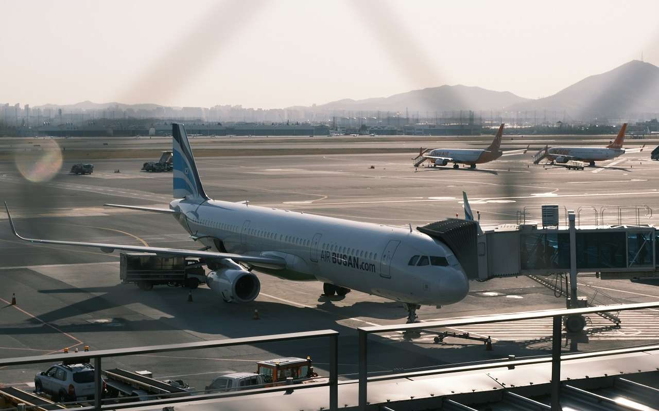 Россияне полетят на отдых в эти страны на самолете — Правительство РФ решает вопрос