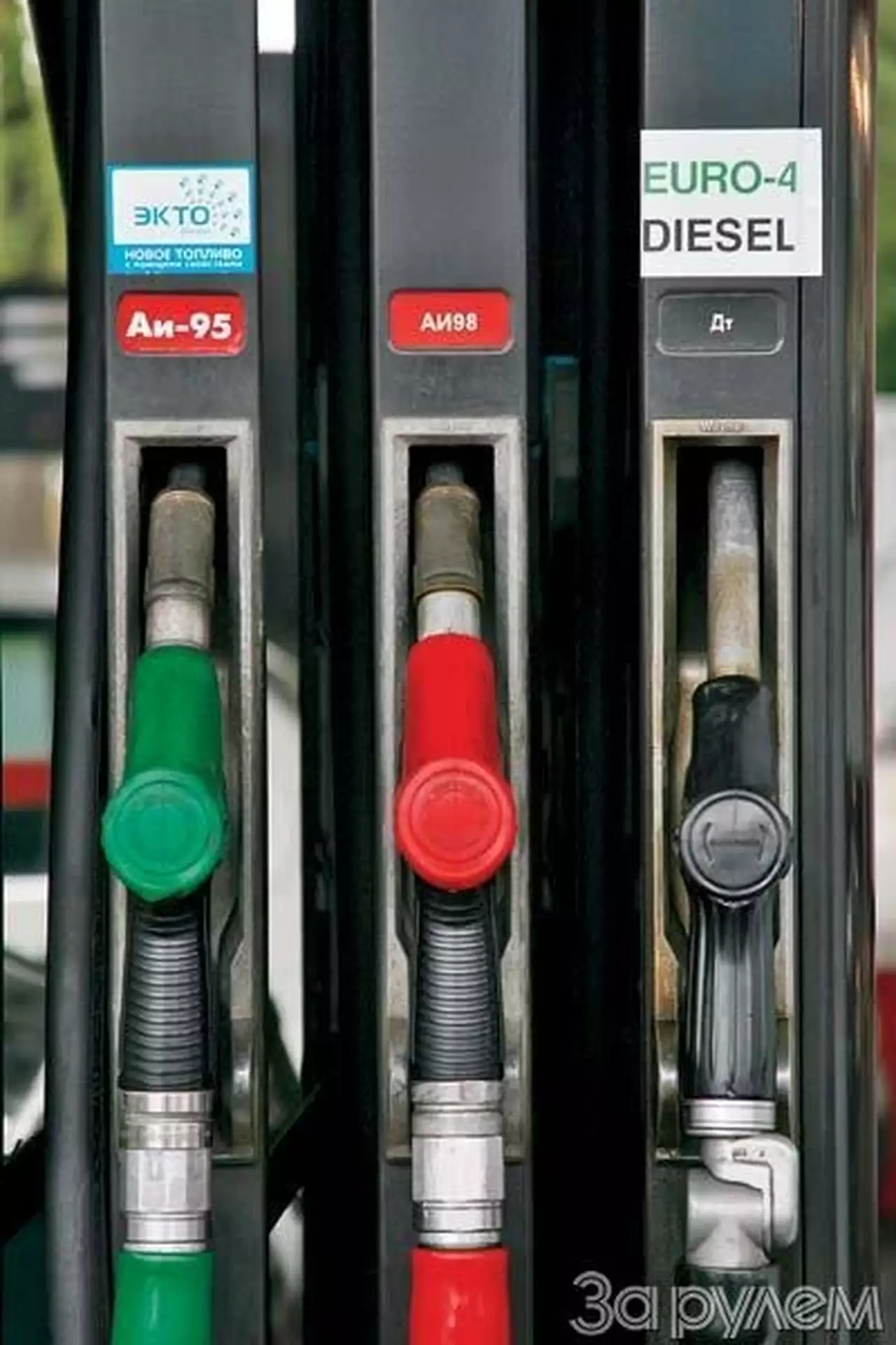 Из «экто» возгорится