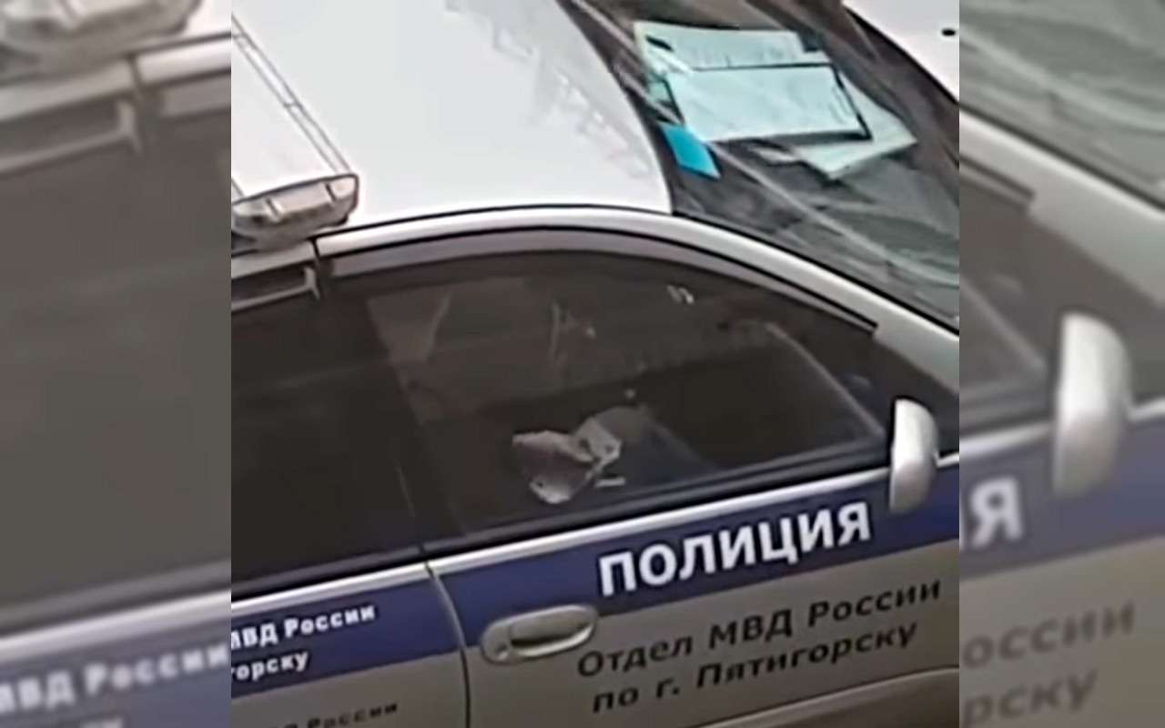 Пятигорского гаишника приговорили к двум годам за взятку