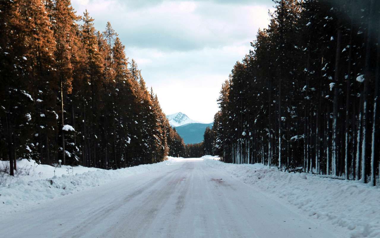 Асфальт не нужен: теперь у направлений появится ГОСТ