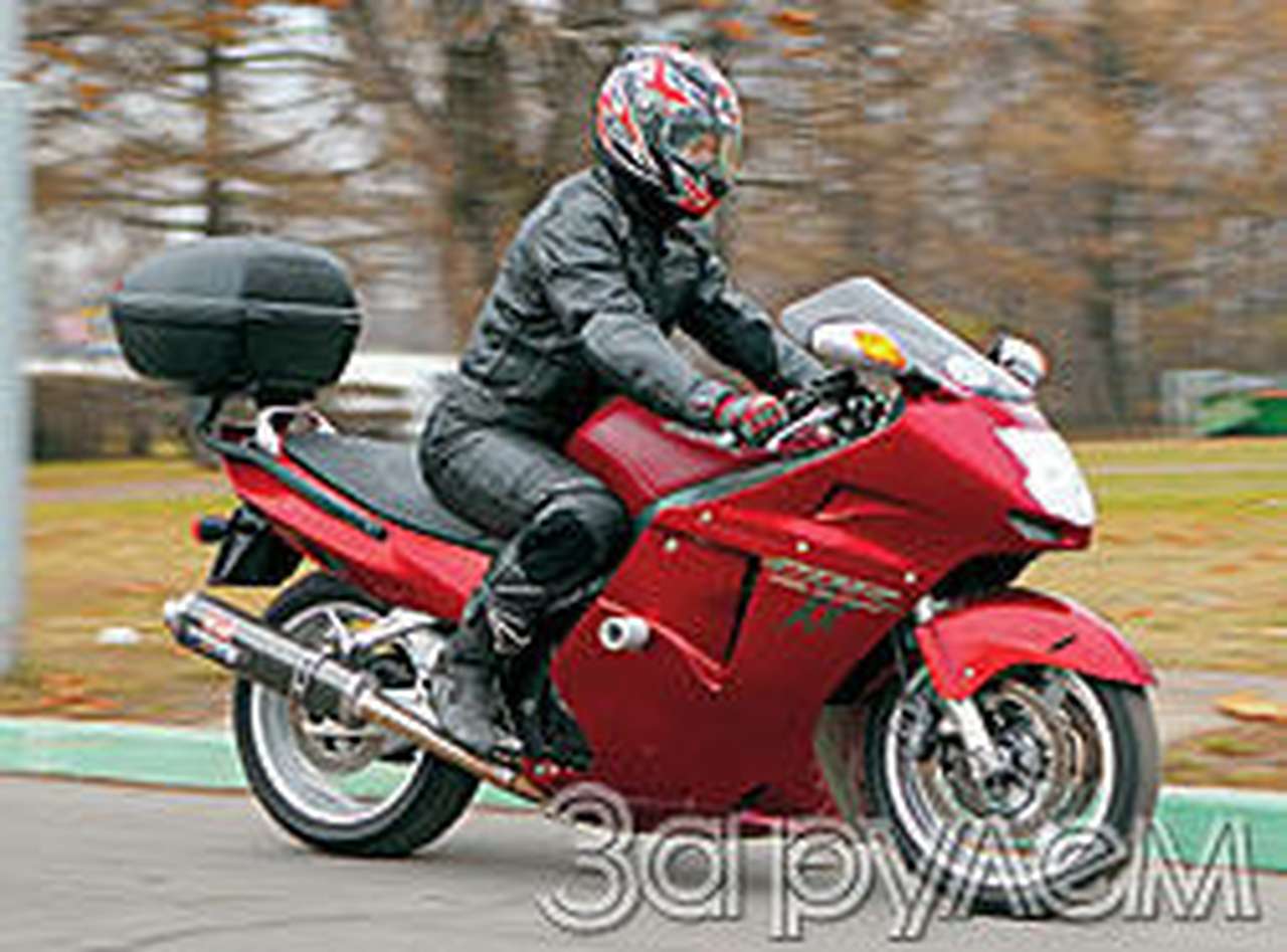 "дрозд" быстрокрылый