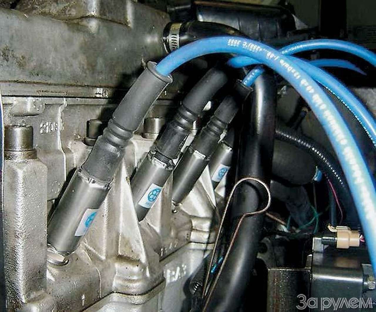 Ослики и лошадки