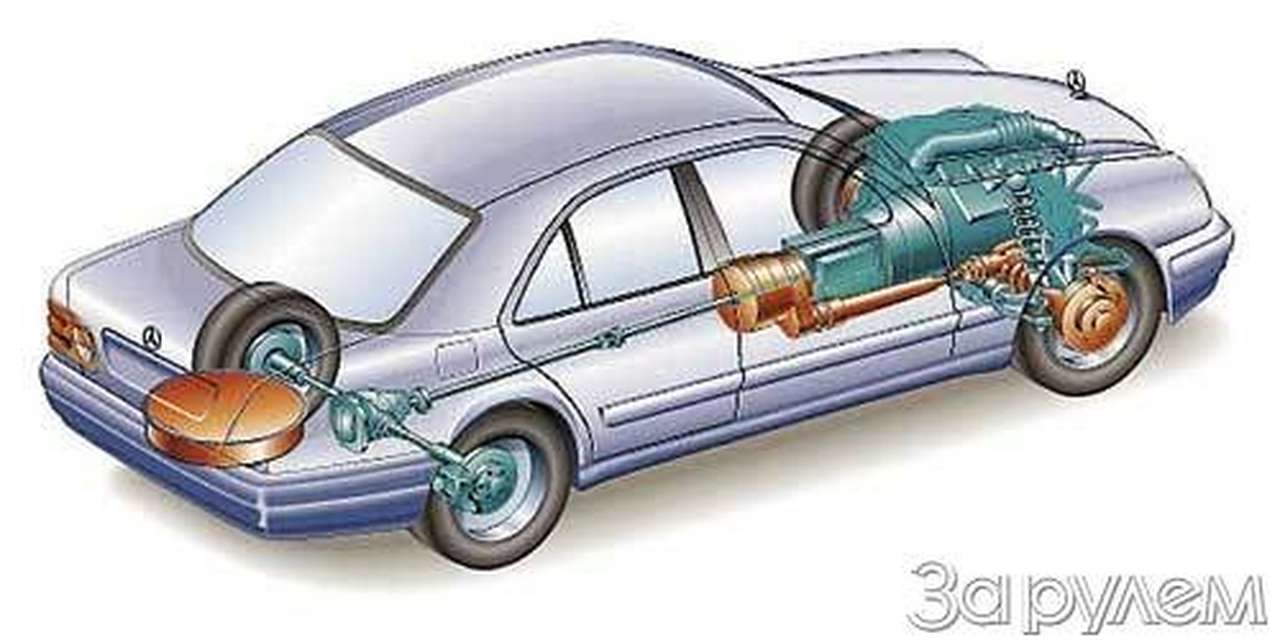 Каждому свое