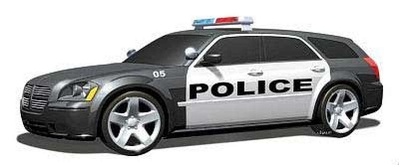 Chrysler готовит полицейские универсалы Dodge Magnum