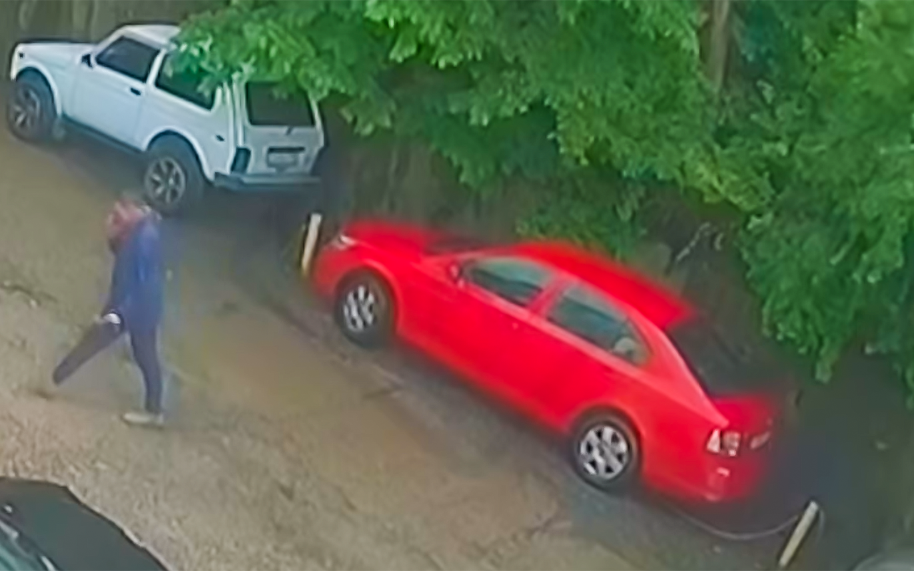 Повезло: сухостой вот-вот рухнет, из машины выходит водитель... (видео)