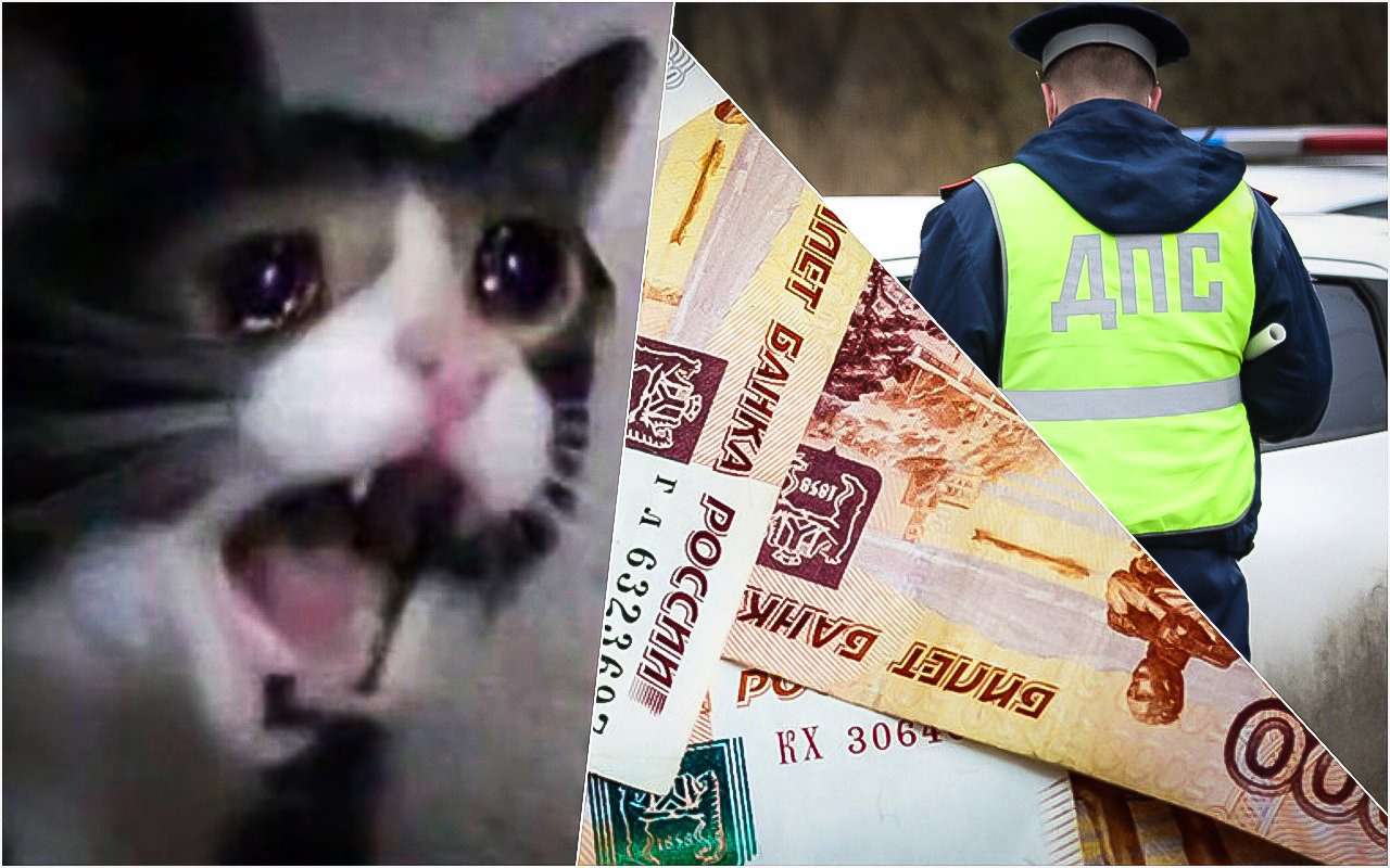 Лжегаишник «подрабатывал» на дороге вместе с настоящими инспекторами ДПС