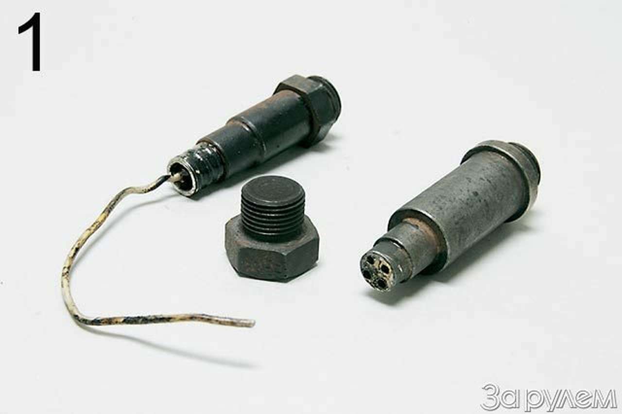 Кунсткамера